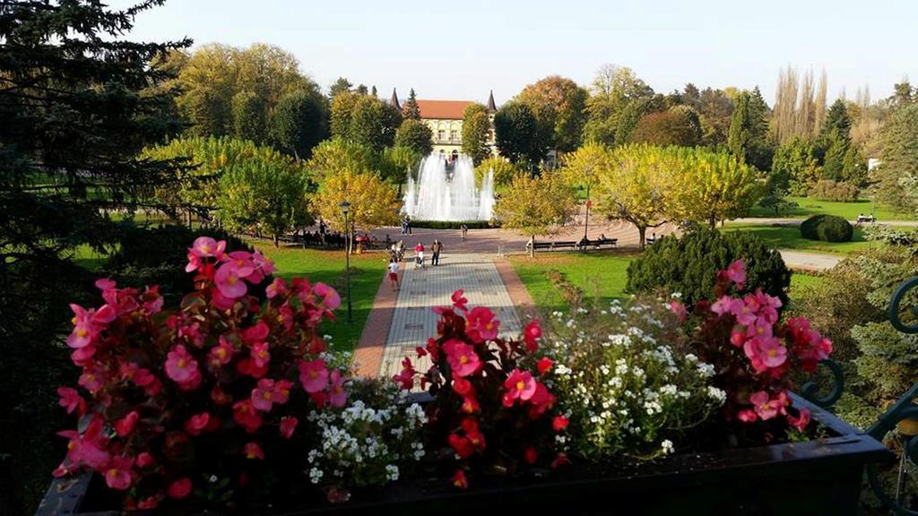 Hotel Royal Spa Баня-Ковиляча Экстерьер фото